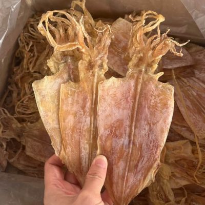 Dried Squid 1