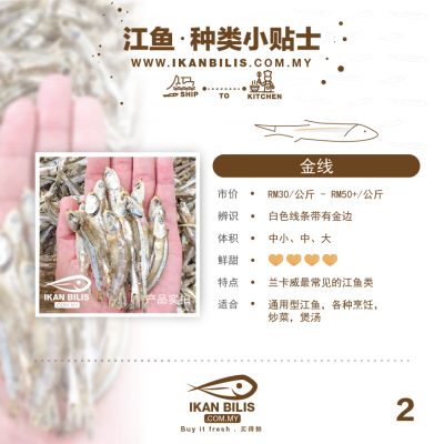 Fish Type - CN-03 goldline anchovy
