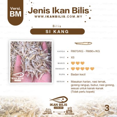 Jenis ikan bilis - BM-04 si kang