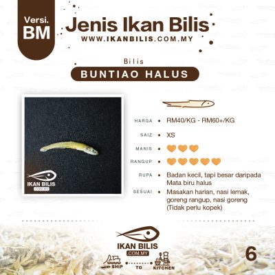 Jenis ikan bilis - BM-07 buntiao